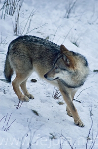 071228__066.jpg