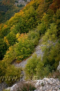 081012_160.jpg