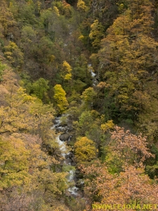 081104_125.jpg