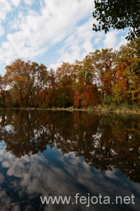 101030_033.jpg