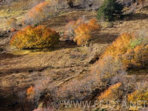 Filename=101102_070.jpg
Filesize=170KiB
Dimensions=500x375
Date added=Nov 15, 2011 101102_070.jpg