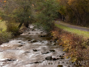 Filename=101104_015.jpg
Filesize=169KiB
Dimensions=500x375
Date added=Nov 15, 2011 101104_015.jpg