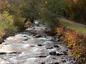 Filename=101104_016.jpg
Filesize=175KiB
Dimensions=500x375
Date added=Nov 15, 2011 101104_016.jpg