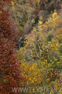 Filename=101104_022.jpg
Filesize=203KiB
Dimensions=332x500
Date added=Nov 15, 2011 101104_022.jpg