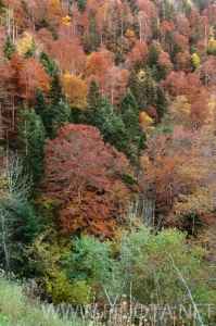 101105_002.jpg