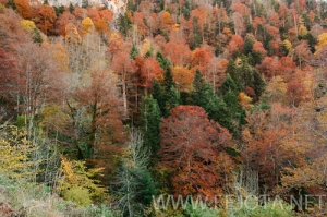 101105_003.jpg