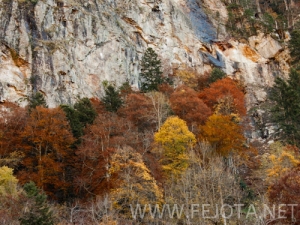 101105_006.jpg