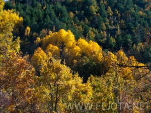 101105_022.jpg