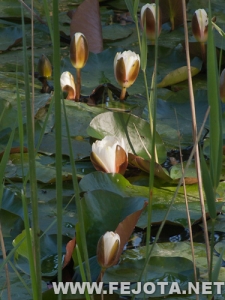 110514_014.jpg