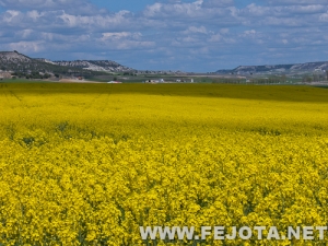 120502_008.jpg