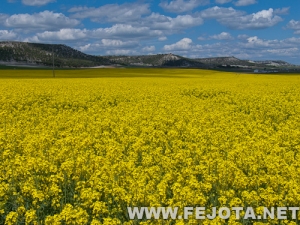 120502_012.jpg
