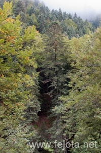 121001_013.jpg