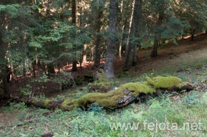121001_045.jpg